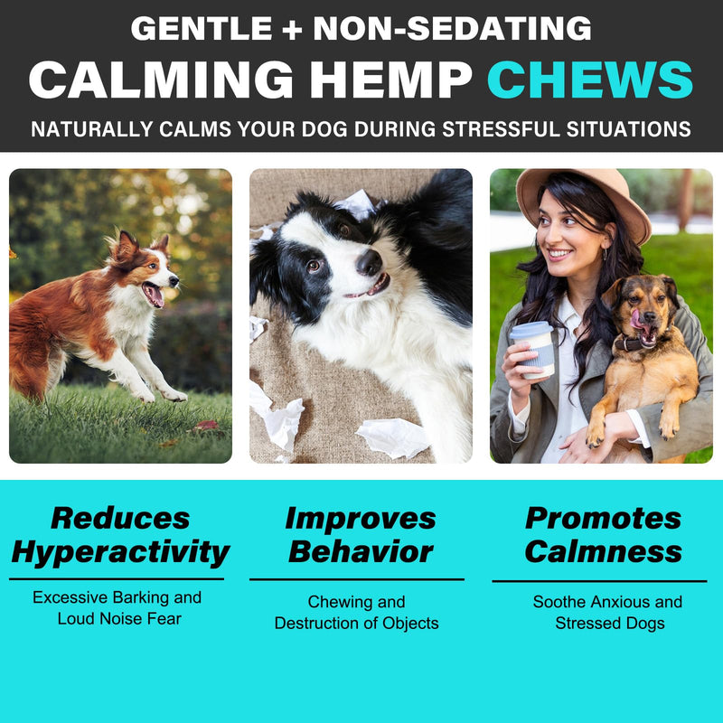 Calming Treats for Dogs Anxiety Relief – Hemp Calming Chews 150 Count | Dog Anxiety Relief for Barking, Separation, Thunderstorms & Fireworks | Natural Calming Supplement, Peking Duck Flavour