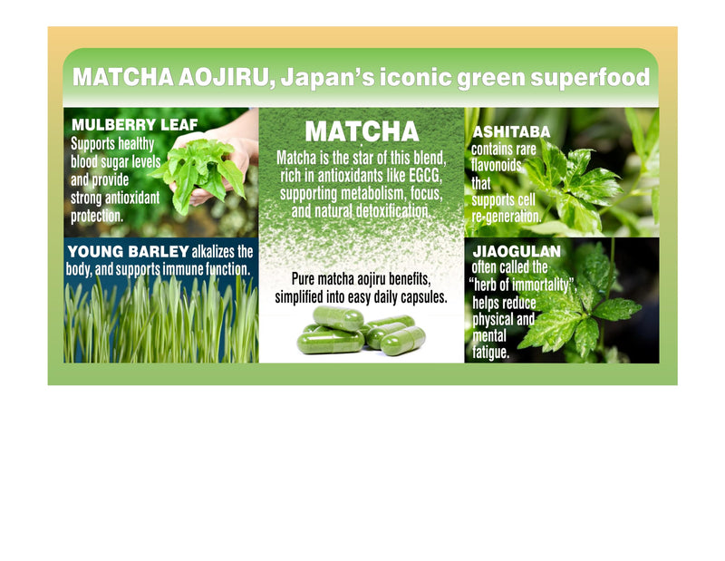 Japanese Matcha Capsules with Mullberry Leaf, Ashitaba, Young Barley, and Jiaogulan