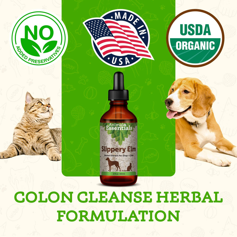Animal Essentials Slippery Elm - Herbal Extract for Dogs and Cats, Promotes Healthy Digestion, Bowel Function, Certified Organic Herbs, All Natural, Respiratory Health, Liquid Formula - 2 Fl Oz 2 fl oz (60ml) - PawsPlanet Australia