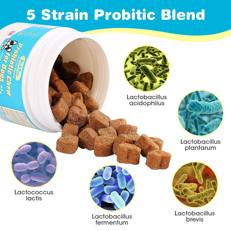 Probiotics for Dogs, Dog Probiotics for Diarrhea & Bowel Support, Digestive Enzymes Promotes Gut Health, Immunity Health & Itch Relief, Prebiotics and Probiotics - BeesActive Australia