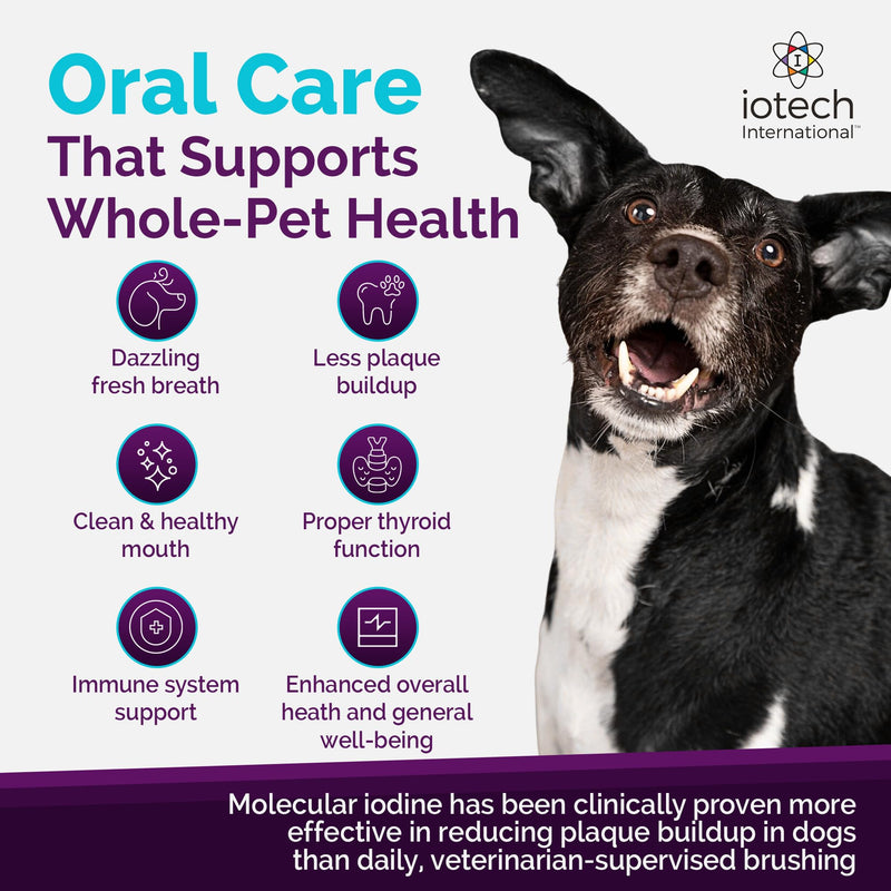 Recommended by Veterinarians Because it Simply Works Better. ioVet Oral Pet Water additive effortlessly Helps Your pet to the Clean, Healthy Mouth & Dazzling Fresh Breath You've Always Hoped for.