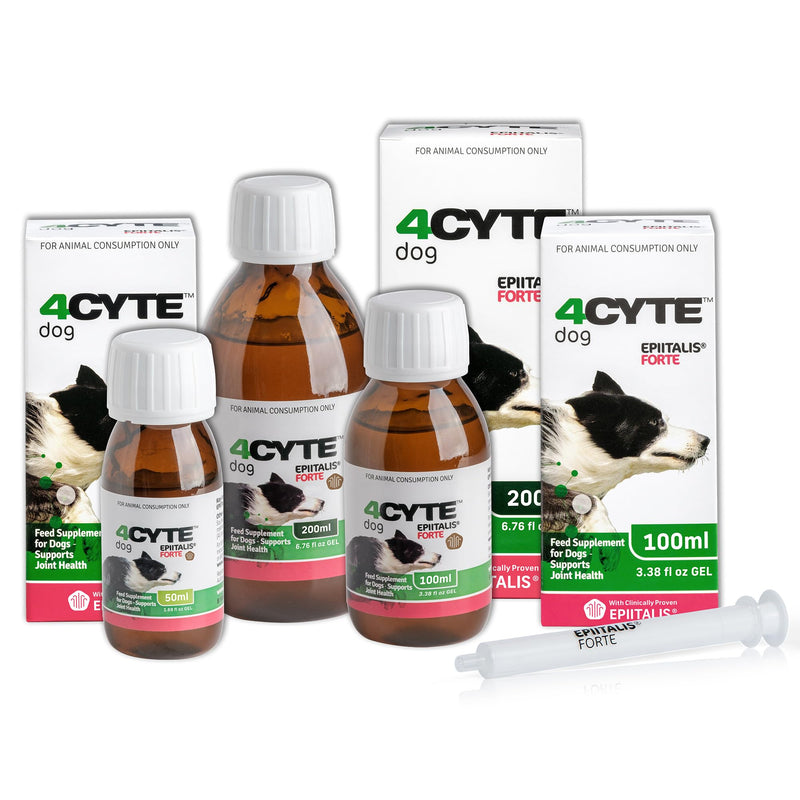 4CYTE Epiitalis Forte Gel for Dogs 100ml