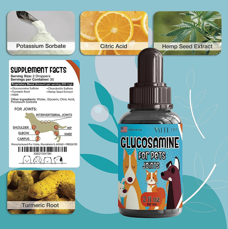Hip & Joint Glucosamine Drops for Pets - Advanced Formula with Glucosamine, Chondroitin & MSM - Enhances Mobility Support - Natural Pain Relief for Dogs and Cats - Anxiety Supplement for Senior Pets - BeesActive Australia