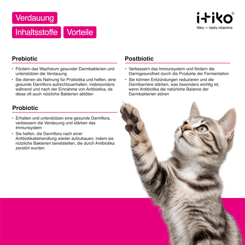 Itiko Digestive Snacks for Cats - Probiotics Cat Treats - Promotes Digestion - Alternative to Healing Clay - Psyllium Husk Cat, Cat Diarrhea - Dietary Supplement Cat Intestinal Flora - BeesActive Australia