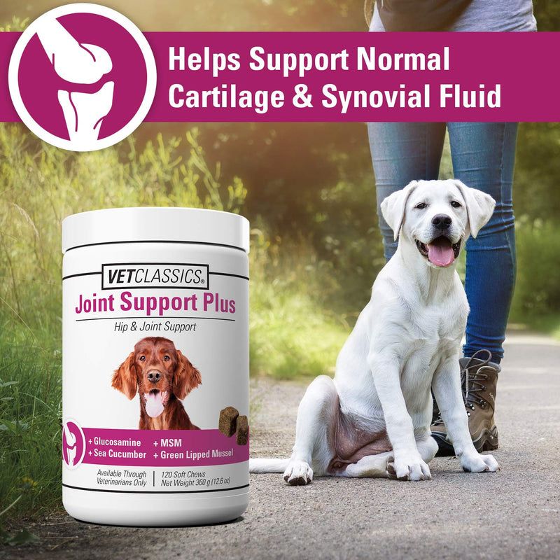 Vet Classics Joint Support Plus Dog Supplement - Hip Health Supplement for Dogs – Alleviates Aches and Discomfort - For Flexibility, Healthy Joint Function in Canines – Antioxidants – 120 Soft Chews - BeesActive Australia