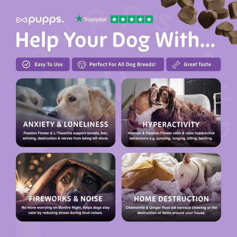 Pupps Calming Dog Treats – 120 Natural Anxiety & Stress Relief Chews | Vet Approved with Hemp, Chamomile & Valerian | Helps Reduce Barking, Separation Anxiety & Hyperactivity | UK Made for All Breeds 120 x Chews