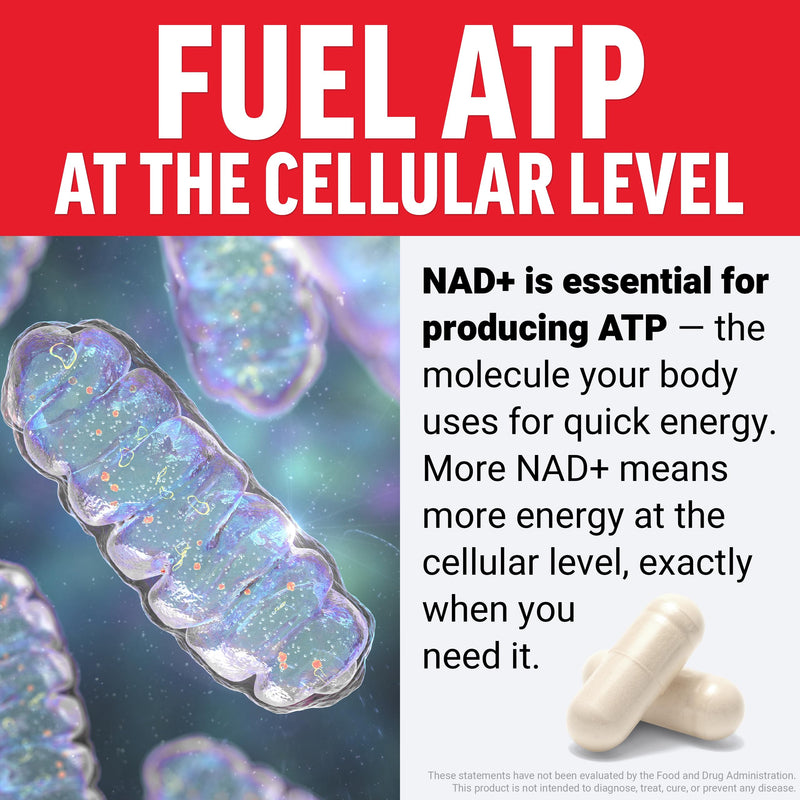 Force Factor NMN Supplement, Nicotinamide Mononucleotide | Support Healthy Aging & Energy Metabolism, Boosts NAD+ Levels, No Gelatin, Non-GMO, 30 Vegetable Capsules
