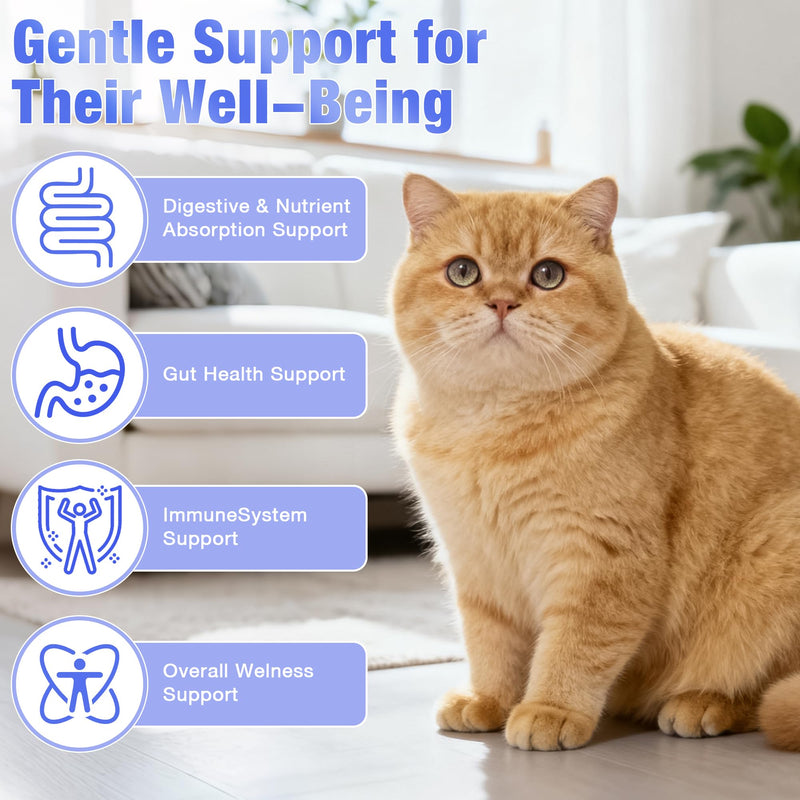 Cat Probiotics for Digestive Support - 60ml Probiotic for Cats with Digestive Enzymes & Prebiotics Supports Gut Health, Immune System 1