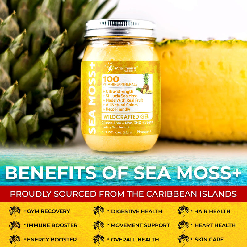 Irish Sea Moss Gel Superfood, Wildcrafted Seamoss Gel, Pineapple, 10 oz | Flavored Sea Moss Vitamin & Mineral Rich, Immune & Digestive Support, Caribbean Harvested, Musgo Marino, 1 Pack