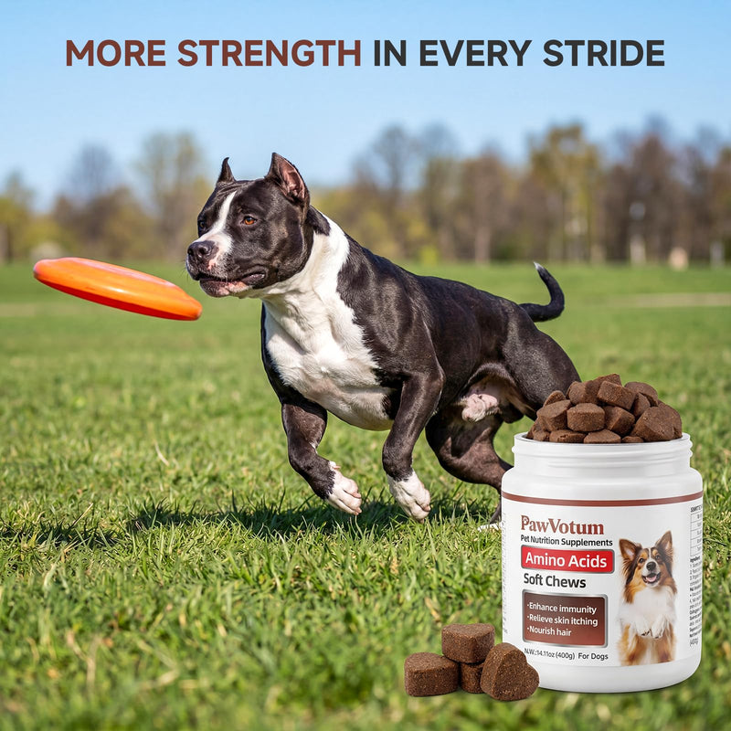 Amino Acids for Dogs,Dog Vitamins and Supplements, Support Immunity, Digestion, Skin & Coat, Muscle Health, Contains Lysine, DL-Methionine and Taurine