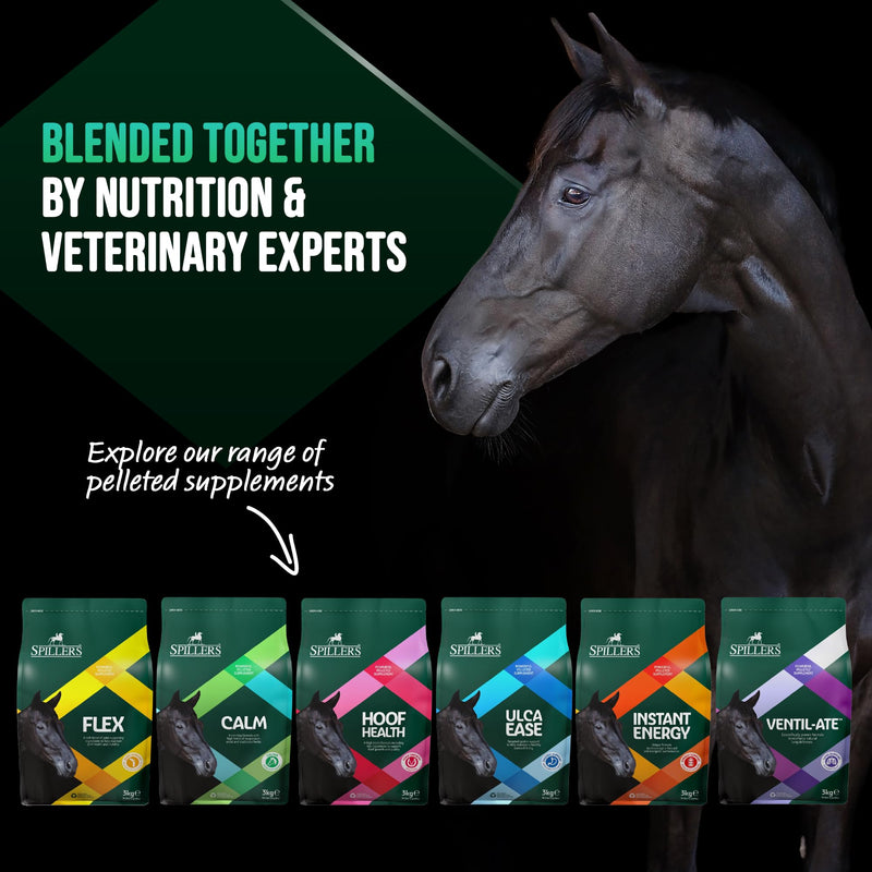 SPILLERS Calm Horse Supplement Horse Calmer with Magnesium for Horses and Ponies, Ideal for Nervous or Excitable Equines - 30 Day Supply Supplements - 3 kg