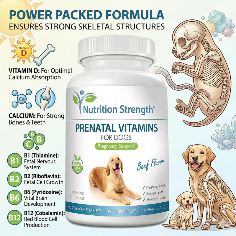 Prenatal Vitamins for Dogs to Support Development of Healthy Puppies, Promote Milk Production, with Folic Acid, Iron, Zinc, Iodine, B Vitamins for Pregnant Dogs, 90 Chewable Tablets Beef