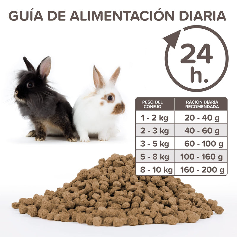 beaphar - Care+ Rabbit - for rodents and small mammals - with spirulina, vitamin E, Yucca Schidigera, Omega-3 and 6 - supports immune system and digestion, promotes tooth wear - 5 kg 5 kg (pack of 1) - BeesActive Australia