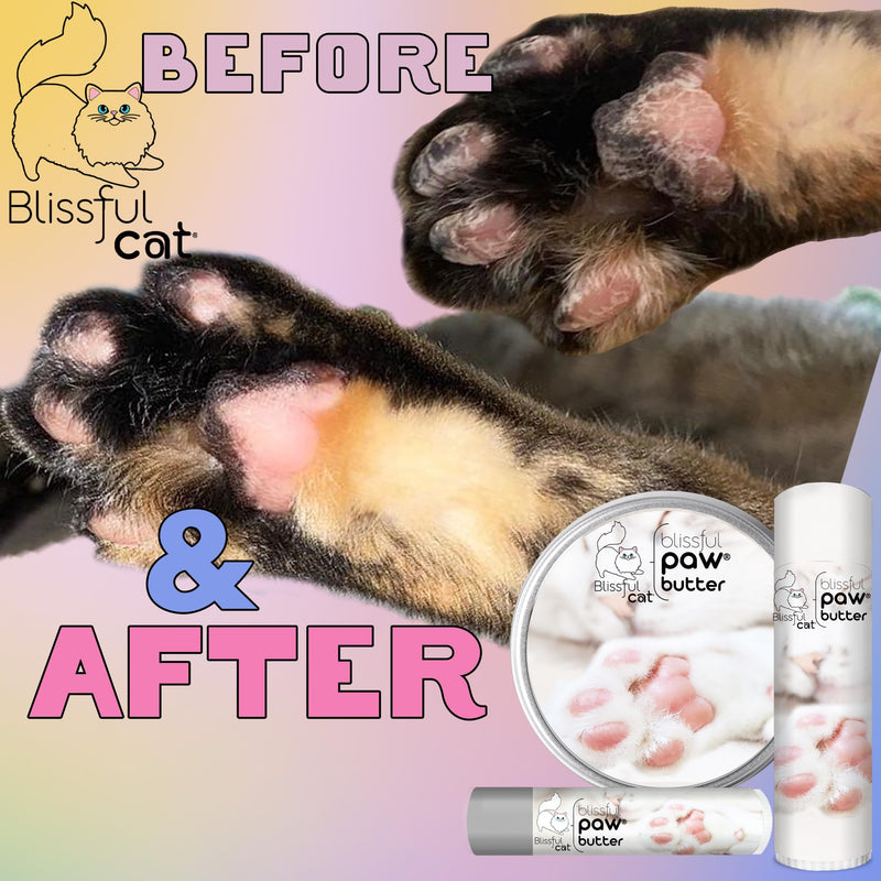 The Blissful Cat Paw Butter, Moisturizer for Dry Paw Pads, Softens and Protects Rough Feet, Versatile, Lick-Safe Balm, 0.15 oz. 0.15 Ounce (Pack of 1) - PawsPlanet Australia
