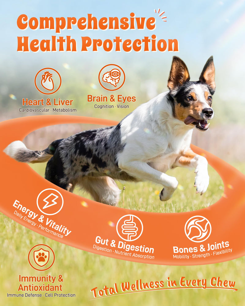 24-in-1 Multivitamin Dog Supplement, 150 Soft Chews – Glucosamine & Chondroitin for Joint Support, Probiotics for Gut Health, Omega Fish Oil for Skin & Coat, Daily Dog Vitamins 150 chews