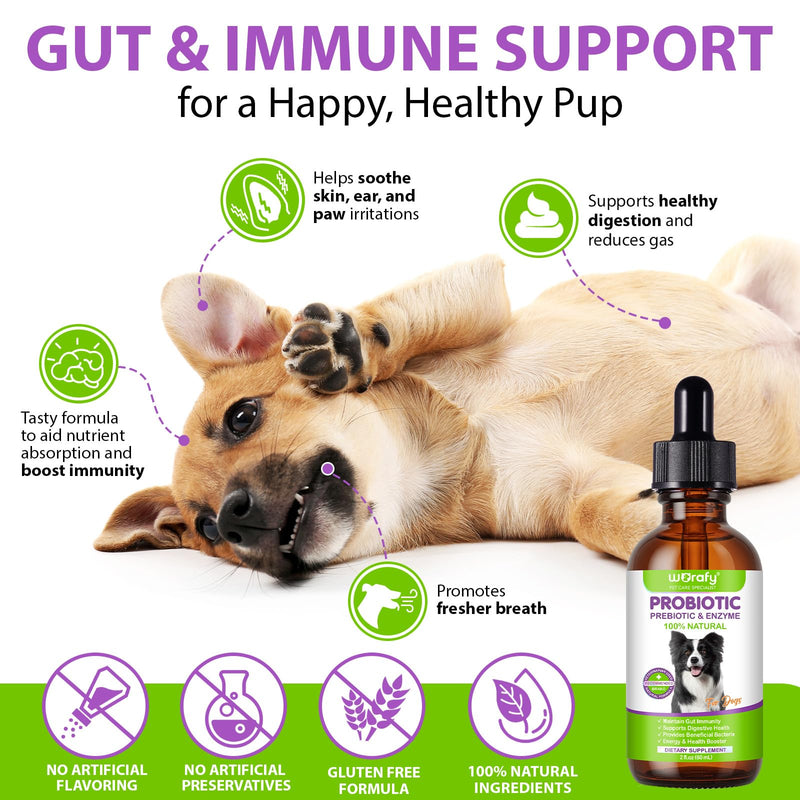 Liquid Probiotics for Dogs, 3 in 1 Dog Probiotic Drops, Prebiotic & Digestive Enzymes | Digestive Gut Flora Support, Relieve Diarrhea & Constipation, Probiotics for Dogs of All Ages and Breeds, 60ml