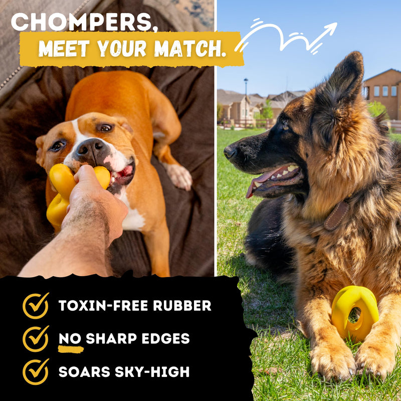 Indestructible Ring Ball - Lifetime Replacement - for Aggressive Chewers, Medium Large Breed - Non-Toxic Natural Rubber Dog Toys - Butter Scent, Yellow (Highly Visible Color for Dogs) - 4.5” - BeesActive Australia