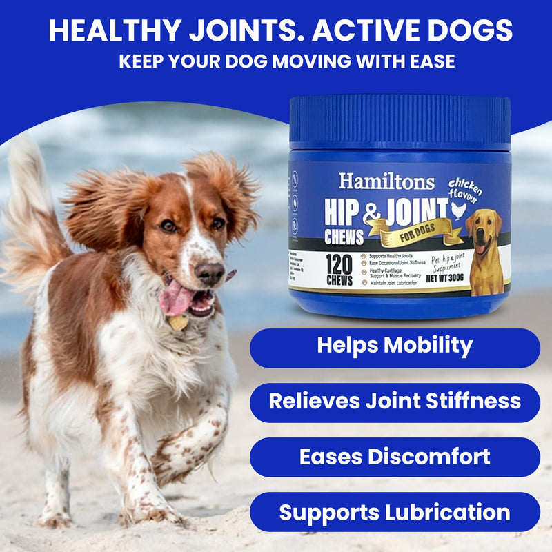 Hamiltons Hip & Joint Supplement for Dogs – 120 Soft Chews Treats with Glucosamine, Chondroitin, MSM & Green Lipped Mussel – Supports Mobility & Stiff Joints for Adult & Senior Dog– Beef Flavour