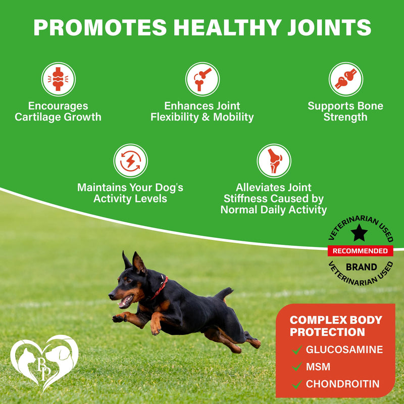 Dog Hip and Joint Supplement & Arthritis Pain Relief Treats - Glucosamine Chondroitin MSM Soft Chews for Senior Dogs - Natural Medicine & Support Mobility - Turmeric Vitamins for Dysplasia - USA - PawsPlanet Australia