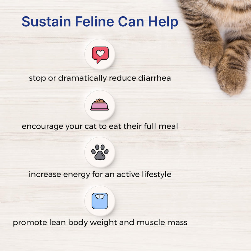 Sustain Feline Recovery Food for Cats 100 g 3.53 Ounce (Pack of 1) - BeesActive Australia