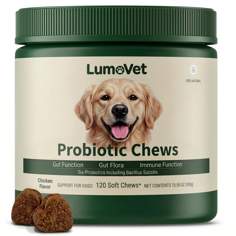 Probiotics for Dogs - with Prebiotics & Digestive Enzymes, Support Gut Digestive Health, Relief Occasional Diarrhea, Bloating & Constipation - Canine Gut Health Supplements 120 Chews(Chicken)
