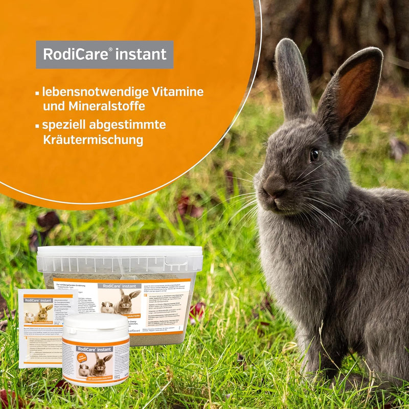 Alfavet RodiCare acute supplementary feed to regulate digestive processes for rabbits, guinea pigs and small rodents, 15 ml glass bottle with 15 ml dosing syringe (pack of 1) - BeesActive Australia