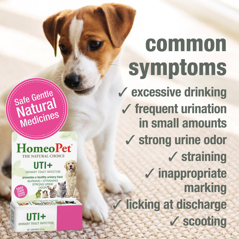 HomeoPet UTI+ Urinary Tract Relief, Safe and Natural Dog and Cat UTI Supplement, 15 Milliliters - BeesActive Australia