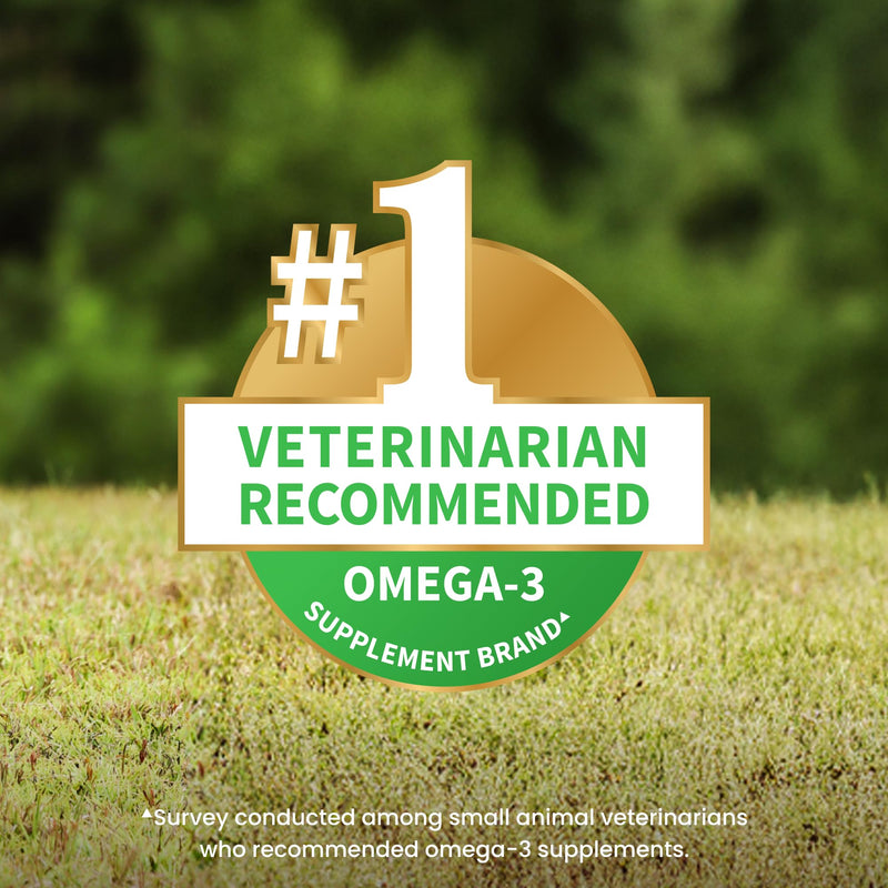 Nutramax Welactin Omega 3 Fish Oil for Dogs, Skin and Coat Health Supplement, Plus Joint, Immune, Kidney, and Brain Support, Premium Omega 3 Fatty Acids, For Dogs, 16 Ounce Liquid 16 oz (480 mL)
