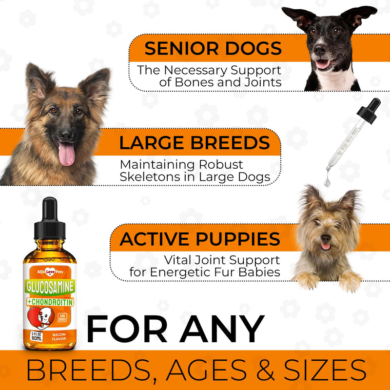 Dog Joint Supplement – Glucosamine Chondroitin for Dogs and Puppies – MSM in The Composition – Care for Joints, HIPS, Muscles, & Ligaments – Bacon Flavor – 2 Oz - PawsPlanet Australia