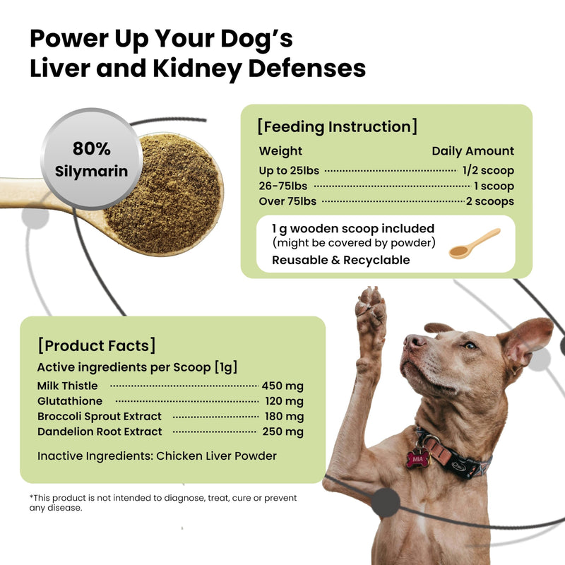 Pawpulse Formula Liver Support for Dogs – Milk Thistle & Silymarin Powder – Daily Detox, Kidney Wellness & Antioxidant Defense, 2.12 oz