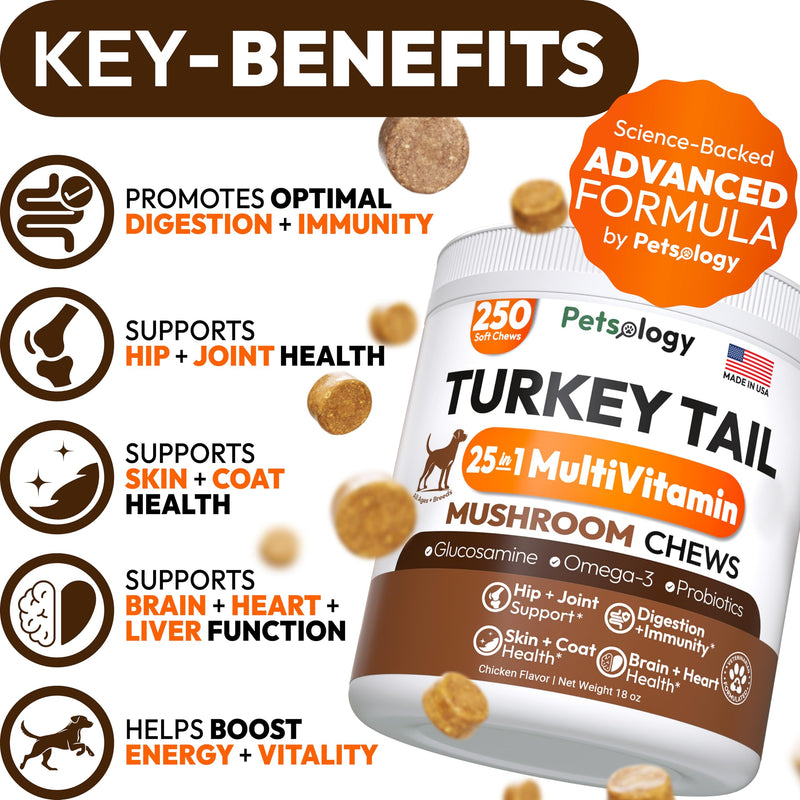 Turkey Tail Mushroom for Dogs - 250 Chews - Lion’s Mane - Shiitake - Reishi - Buddy Immune Support Guard - Lipoma Mushroom Supplement for Dogs Lumps and Bumps Glucosamine, Health Vitamins Multivitamin