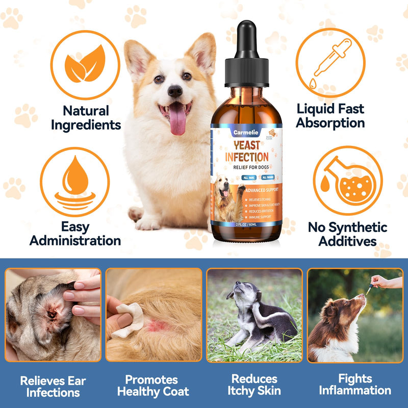 2pcs Natural Antibiotics for Dogs & Natural Yeast Relief for Dogs, for Skin Issues, Itch Relief, Dog Ear Discomfort Care, Itch Relief for Dog, Allergy Supports for Pets, Supports Skin Health - 60 ml