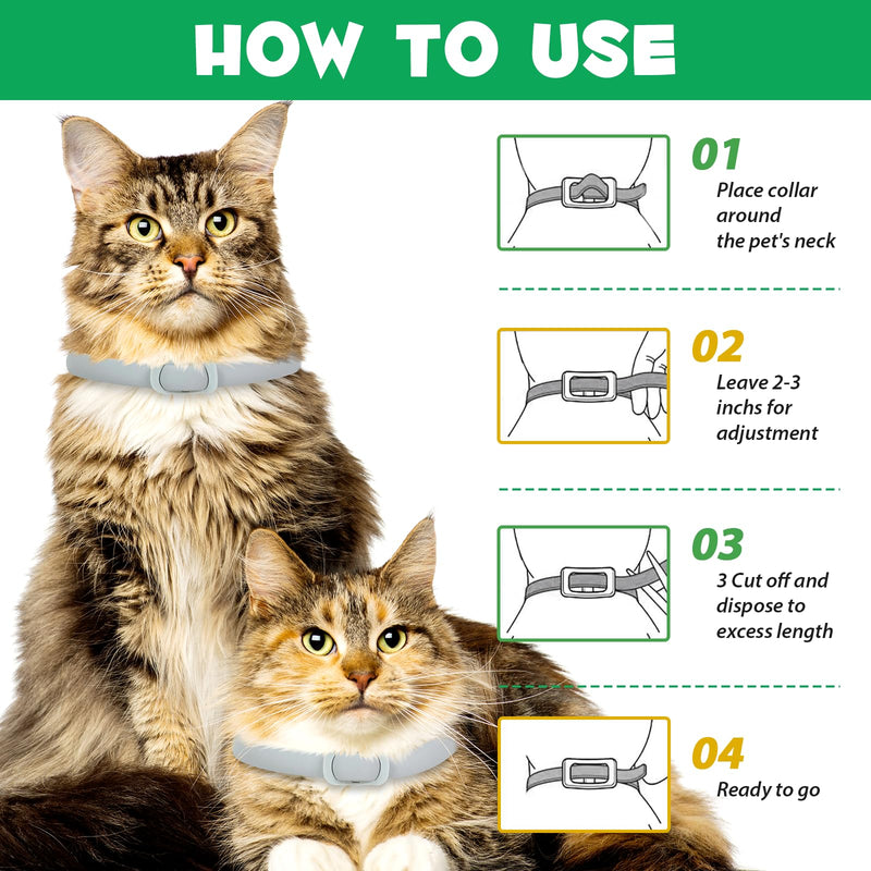 QLIGES tick flea collar cat, flea collar for cats 4 pieces, effective protection for 24 months, protection against skin allergies, soft and comfortable, adjustable, waterproof, suitable for all cats gray - BeesActive Australia