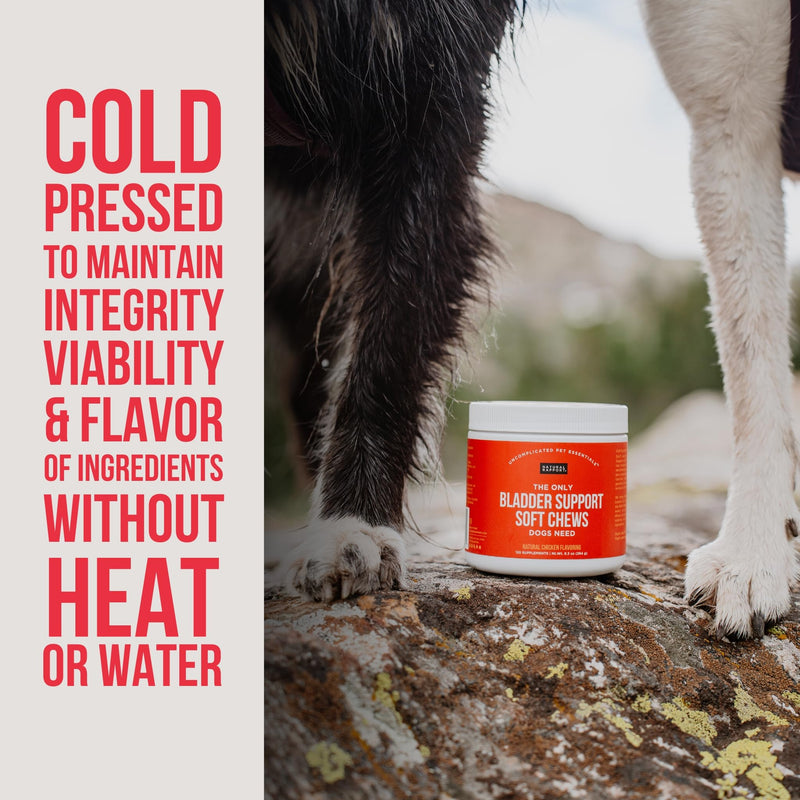 Natural Rapport Dog Bladder Support - The Only Bladder Support Chews Dogs Need - 120ct Supplements that Contain Cranberry and D- Mannose to Aid in Kidney Function Bladder Chew
