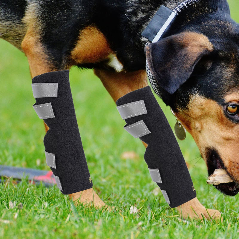 Dog Joint Brace Canine Rear Leg Hock Wraps Dog Legs Brace with Safety Reflective Straps Prevents Injuries Sprains Helps Loss Stability (M) M