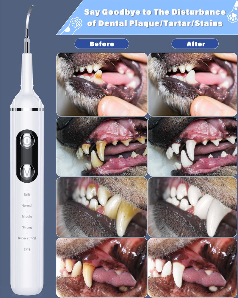 Plaque Remover for Teeth, Pet Tooth Brushing Kit, Dental Tools to Remove Plaque and Tartar, Safe for Dog and Cat, with LED Light, White