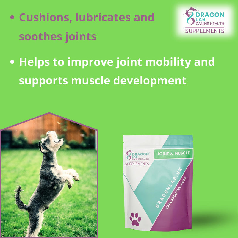 Joint & Muscle Supplement for dogs | OLD DOGS | ARTHRITIS | MUSCLE REPAIR | PROTECT JOINTS | ACTIVE DOGS | HIP DYSPLASIA