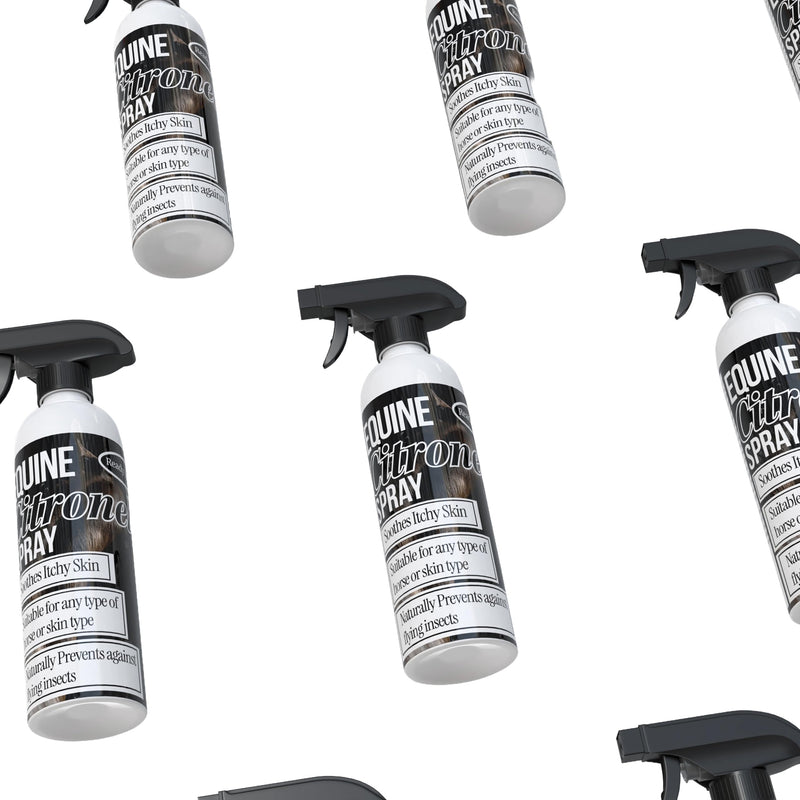 Citronella Horse Spray – Natural Fly Repellent for Horses, Long-Lasting Protection Against Flies, Midges and Mosquitoes, Gentle on Skin, Ideal for Riding and Stable Use (100ml) 100ml