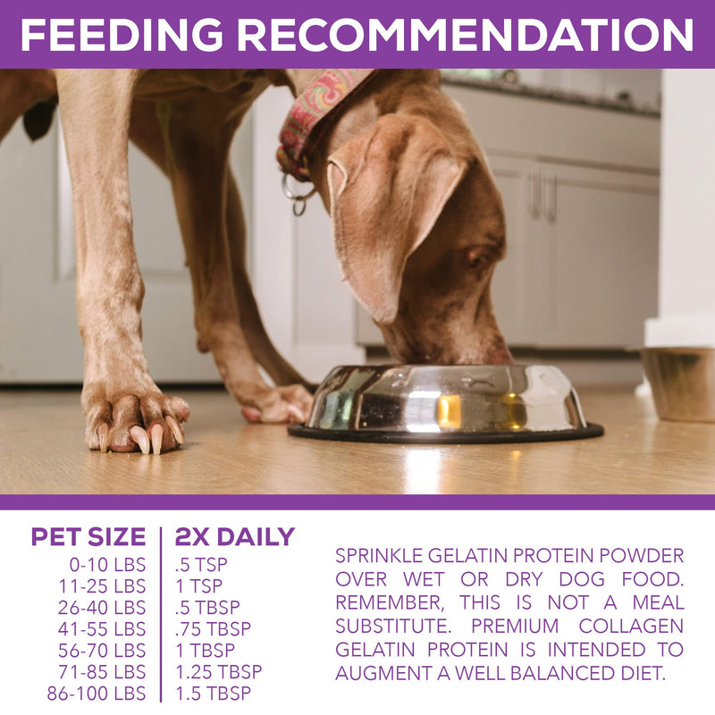 Premium Collagen Gelatin Protein for Dogs, 1Lb 10 Oz - PawsPlanet Australia