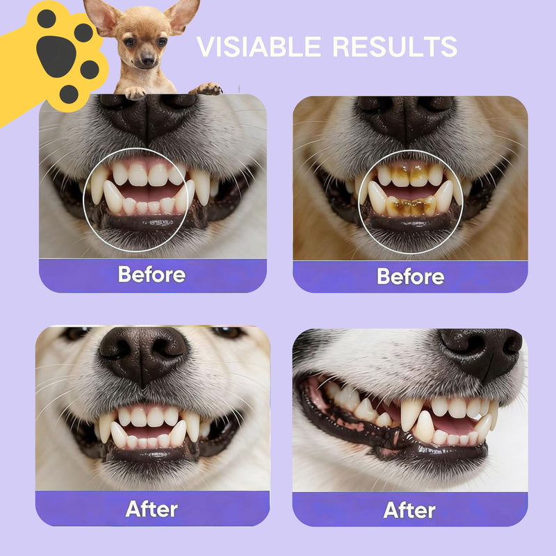 2Pcs Dental Care Spray for Dogs and Cats, Eliminate Bad Breath, Minimize Tartar and Plaque Buildup, Supports Gums Oral Health, Dental Spray with Probiotics, Fresh Breath, No Brushing(100ml)