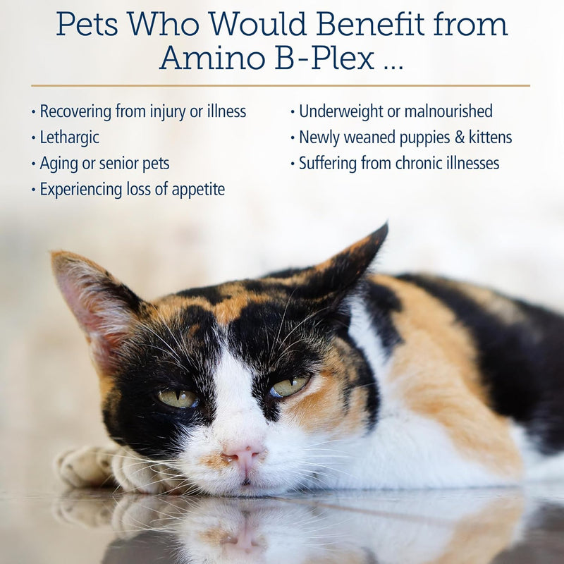Rx Vitamins Amino B Plex for Pets - B Vitamin Complex Plus Amino Acids for Dogs & Cats - Vitamin Supplements for Dogs' & Cats' Total Body Support - 4 oz - BeesActive Australia