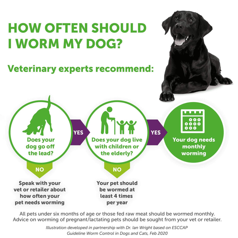 Drontal Tasty Bone Wormer Tablets for Small and Medium Dogs (2 to 20kg) x 2 Tablets