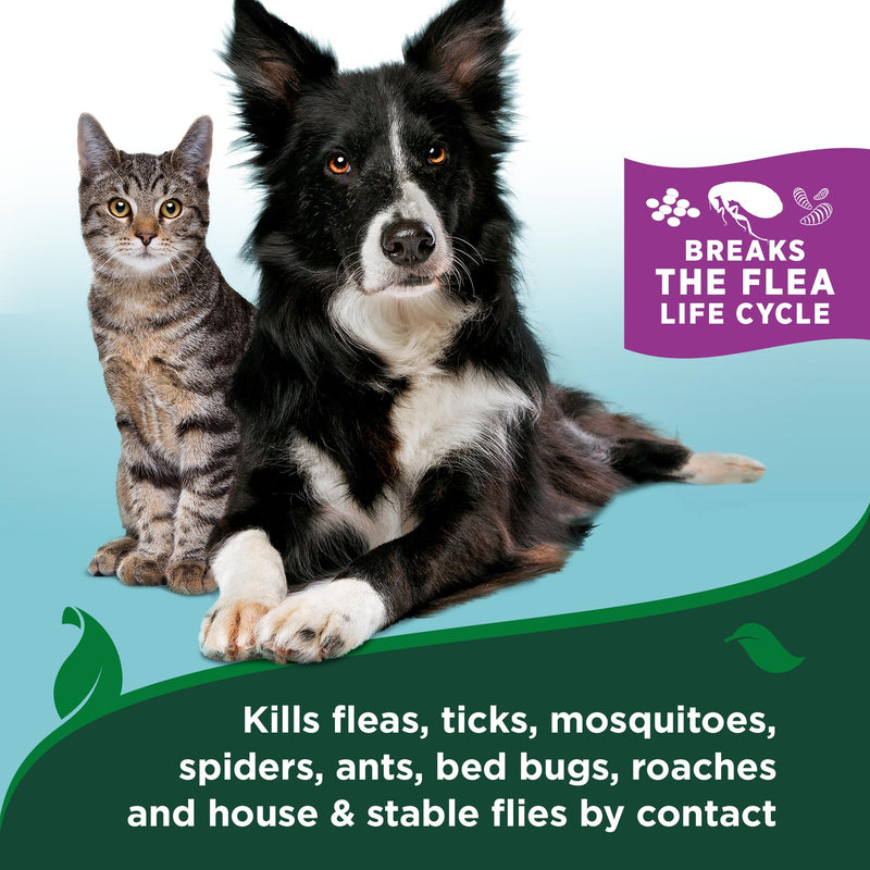 Vet’s Best Flea & Tick Waterless Bath for Cats – Cat Waterless Bath – Cotton Spice Scent – Natural Flea and Tick Prevention – Kills Fleas & Ticks on Contact – 8oz 5 oz - BeesActive Australia