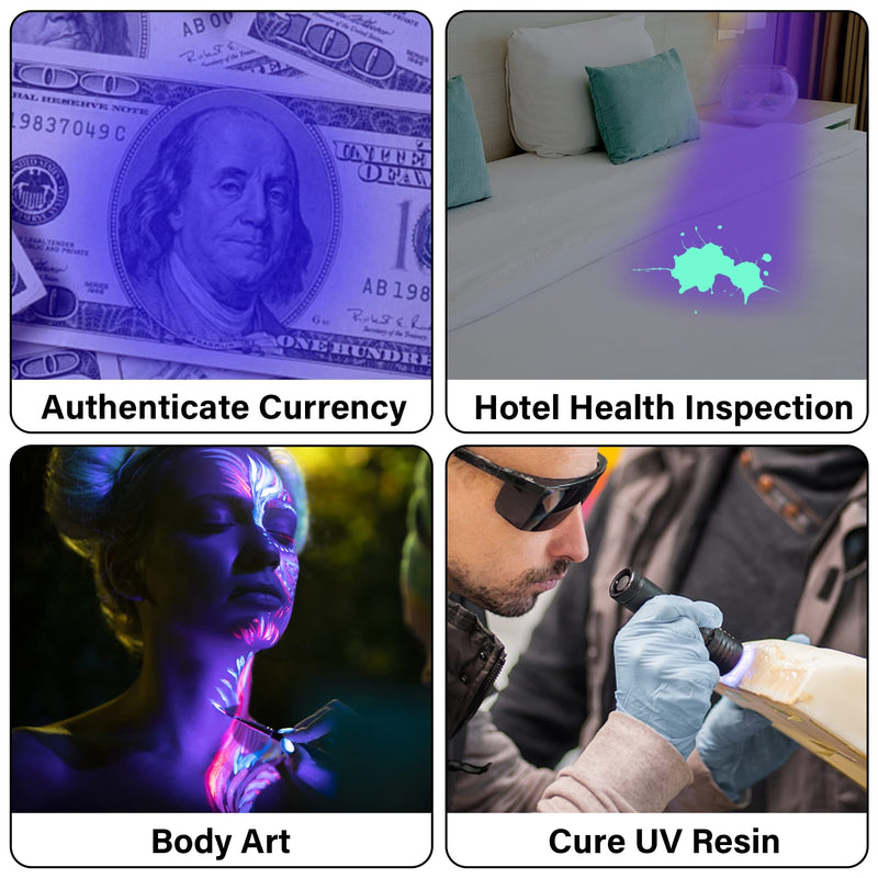 3 Pack UV Flashlight Black Light, 51 LED 395nm UV Light Pets Urine Detector, Dry Stains, Bed Bug, Detect Scorpions - BeesActive Australia