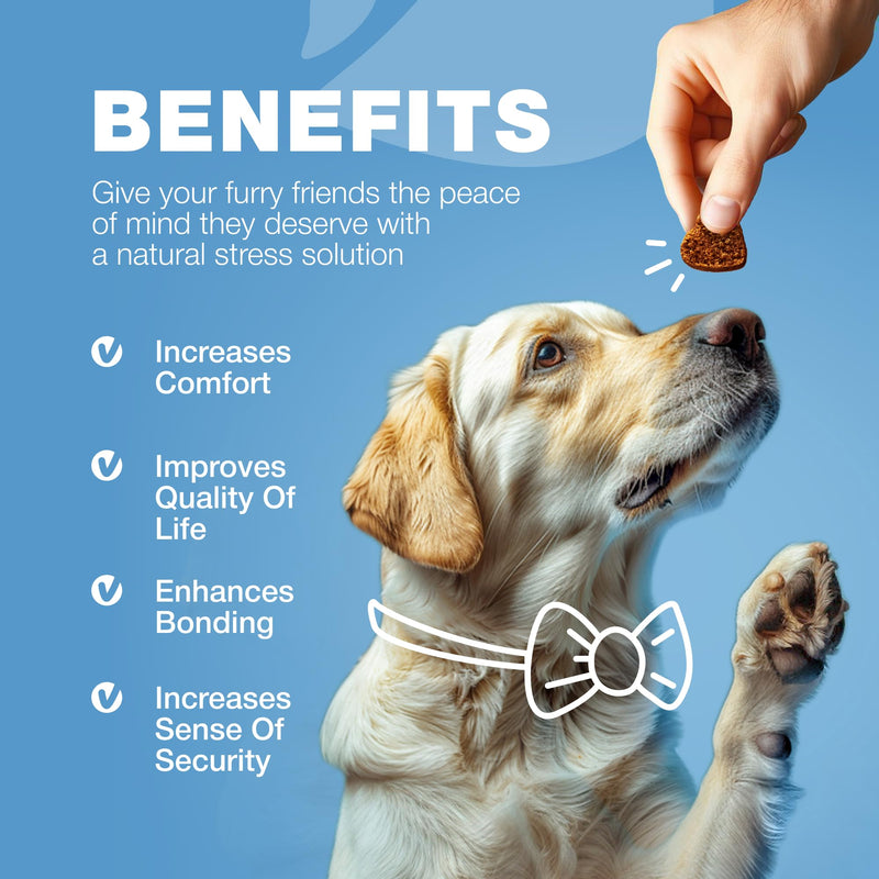 Hemp Calming Chews for Dogs - Dog Calming Treats - Anxiety Relief for Dogs with L-Theanine, Chamomile Extract, Valerian Root - Dog Anxiety Relief for Travel, Vet Visits, Thunderstorms, Nail Trimming - PawsPlanet Australia