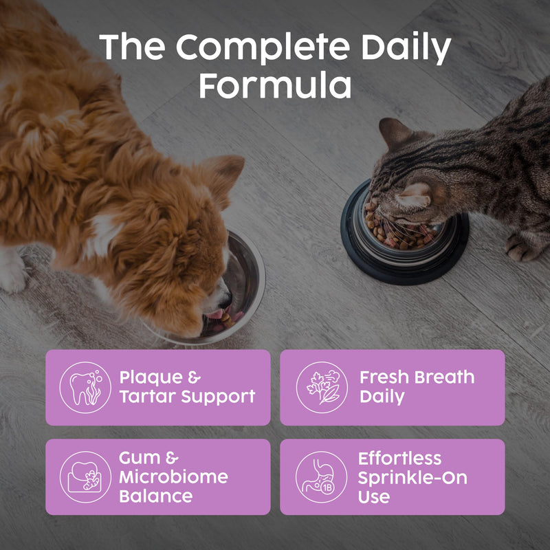 Cat & Dog Dental Powder - Plaque Off Powder for Dogs & Cats, 100% Natural Seaweed for Dog Teeth Cleaning & Gum Disease, Remove Bad Breath, Dental Care Formula for Oral Health Hygiene | 100g