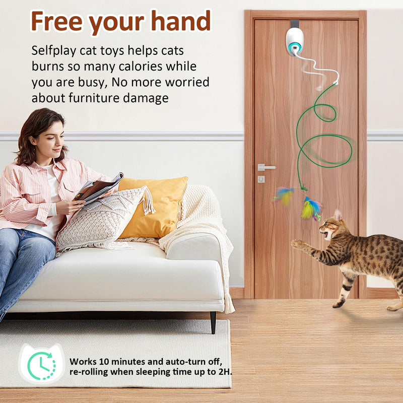 Interactive Toys for Indoor Cats Kitten Play Chase Exercise, Rechargeable Door Hanging Cat Teaser Self Play Feather Cat String Toys - BeesActive Australia