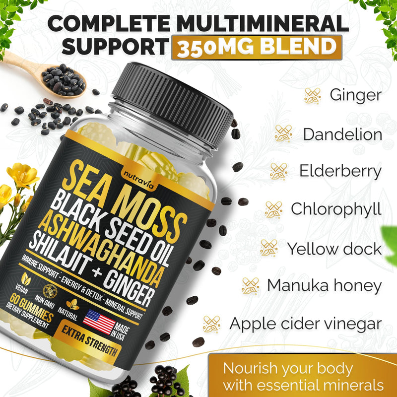 Sea Moss, Black Seed Oil, Ashwagandha, Ginger, Shilajit Gummies with Elderberry, Chlorophyll, Turmeric Bladderwrack Sea Moss Gummies Advanced Strength Formula - All in 1 Bundle - USA Made (60 Gummies)