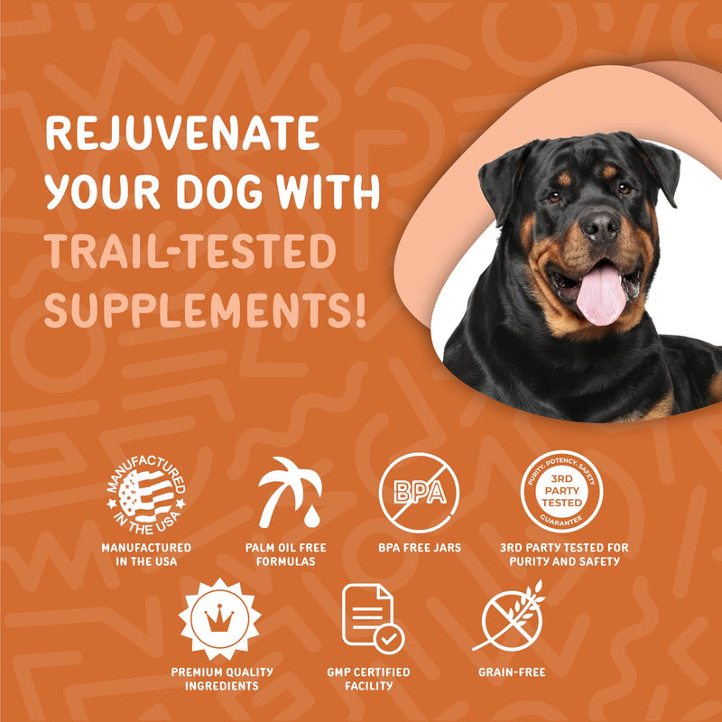 waggedy Hip and Joint Turmeric – Complete Dog Supplements for Joints with Glucosamine, MSM, HA & Omega Fatty Acids — Daily Glucosamine for Dogs to Improve Flexibility & Mobility (120 Dog Chews) Turmeric Hip & Joint 120 Count