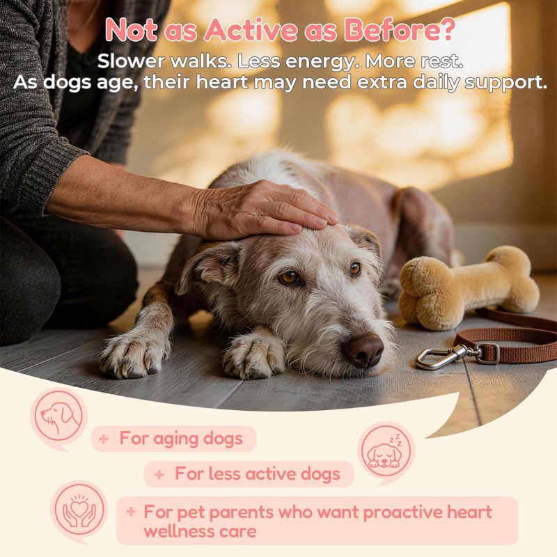 VUN Dog Heart Supplements–Dogs Cardio Support Soft Chews with CoQ10,Cardiovascular & Antioxidant Support with L-Carnitine for Senior Dogs Vitality& Energy Support,100 Counts
